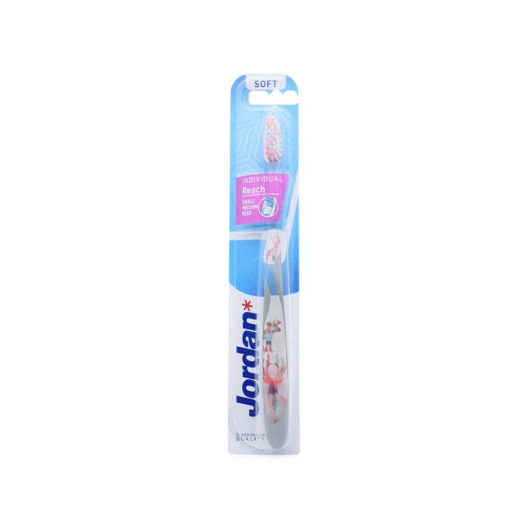 Jordan Individual Reach Toothbrush Soft Gray-Transparent with Deer 7038516550361